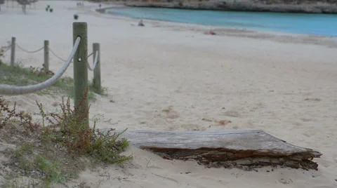 Samarador beach Mallorca old log Stock Footage 32250558