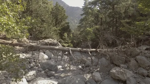 Samaria Gorge Video stock 96383689