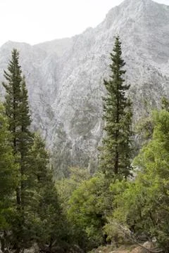 Samaria Gorge Stock Photos