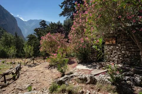 Samaria Gorge Stock Photos