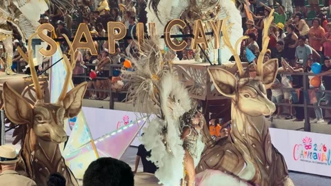 Samba dancers marching at Corrientes Carnival night parade. February 28, 2026. Stock Footage 330073283