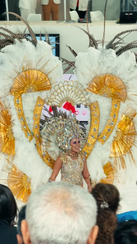 Samba dancers marching at Corrientes Carnival night parade. February 28, 2026. Stock Footage 330073542