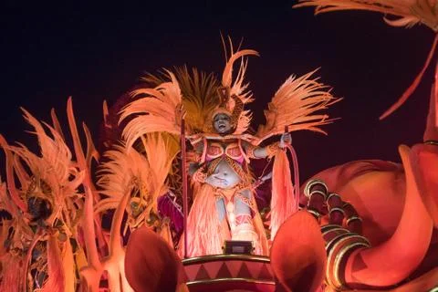 Samba school parade Salgueiro Stock Photos