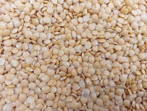 Sambar dal background  Foto stock