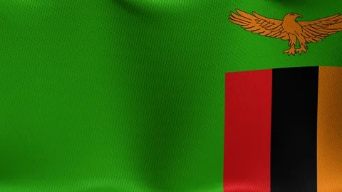 Sambia Stock-Footage 89124636