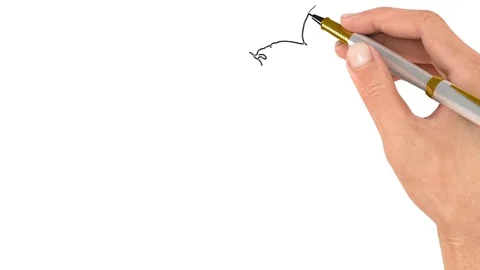 Sambucus. Pattern Vídeos de archivo 81556761