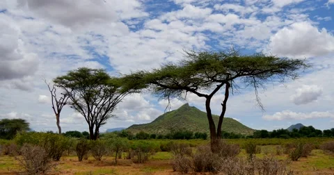 Samburu Scenic Stock Footage 60378048