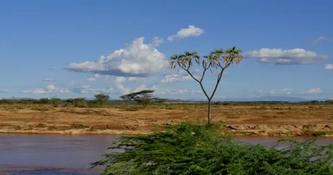Samburu Time Lapse Stock Footage 60377526