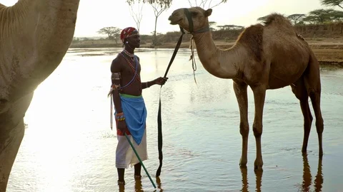 Samburu Warriors Stock-Footage 95830744