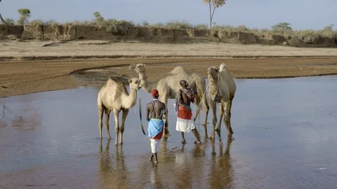 Samburu Warriors Stock Footage 95831243