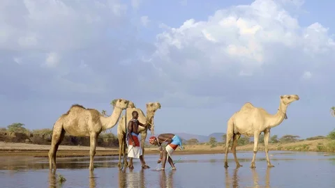 Samburu Warriors Stock Footage 95832857