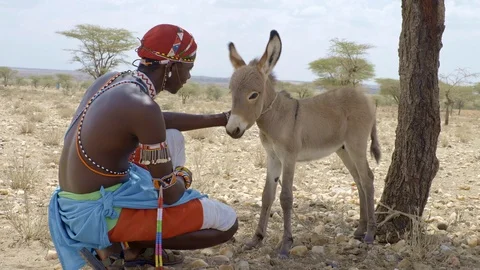 Samburu Warriors Stock Footage 95833912