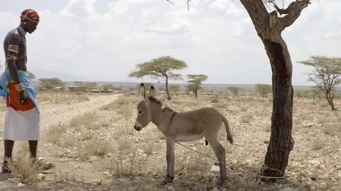 Samburu Warriors Stock Footage 95843878