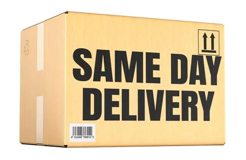 Same Day Delivery concept with parcel cardboard package. 3D rendering Illustrazione stock