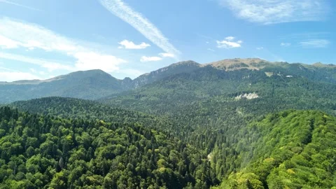 Same landscape in two seasons in one footage Stock Footage 296484604