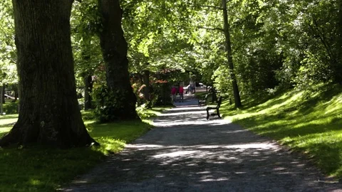 Same Path Public Gardens, Halifax, Nova Scotia, Canada Video stock 91756500