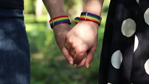 Same-sex couple holding hands while walking Stock Footage 339628611