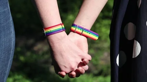 Same-sex couple holding hands while walking in the park Stock Footage 339628642