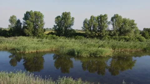 Same shot of trees on a riverbank shift from autumn to spring Stock Footage 276373960