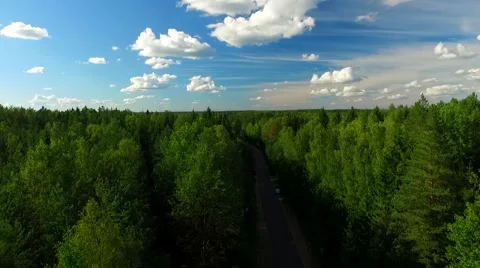 Сamera flies over the road through thick forest.mp4 Stock Footage 66514561