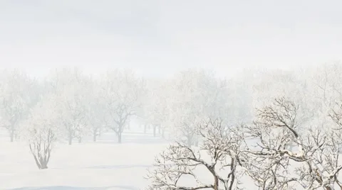 Сamera soars over the snow-covered tree Stock Footage 45440006