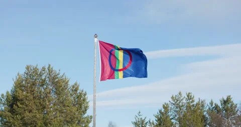Sámi flag waving in the wind Video stock 220785209