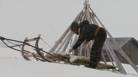 A Sami reindeer herder strapping down a traditional sledge in snowy weather Stock Footage 107375875
