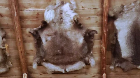 Sami tent from the inside. The Sami dwelling on the Kola Peninsula. Stock Footage 290201691