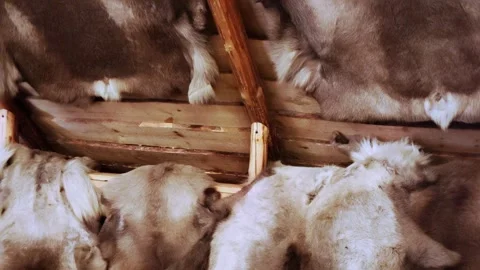 Sami tent from the inside. The Sami dwelling on the Kola Peninsula. Stock-Footage 290203314