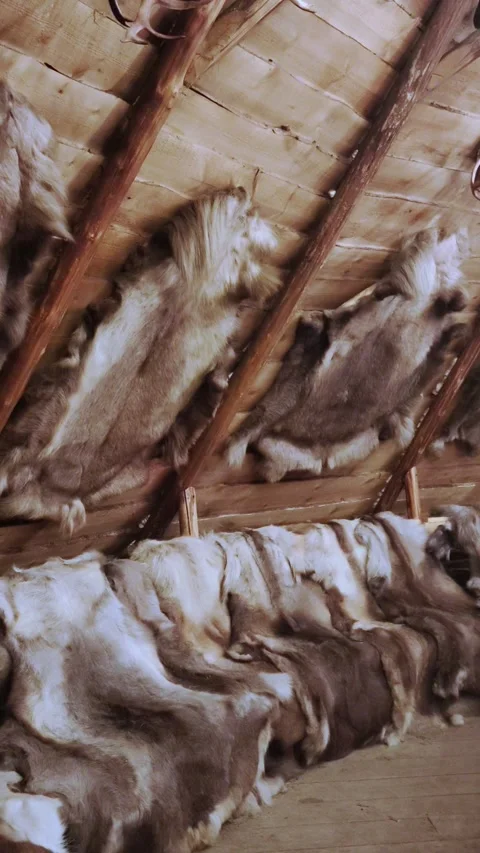 Sami tent from the inside. The Sami dwelling on the Kola Peninsula. Stock-Footage 290208737