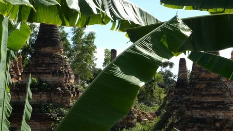 Samkar, prince's residence, through foliage, Asia in HD Slow motion Stock Footage 95214446