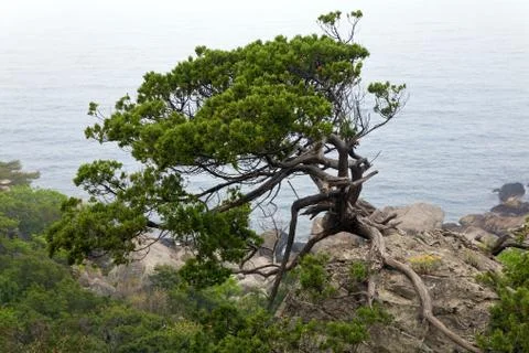 Sammer coast view Stock Photos