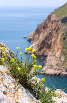 Sammer coast view Stock Photos