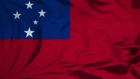 Samoa flag waving in the wind Animation 動画素材 309421255