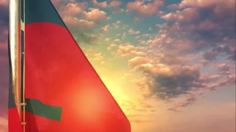 Samoa waving flag on beautiful sundown background 動画素材 251664909