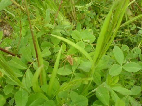 Samos island Stock Photos