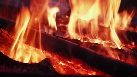 Сampfire on the Pacific coast Stock Footage 168212260