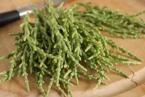 Samphire Stock Photos