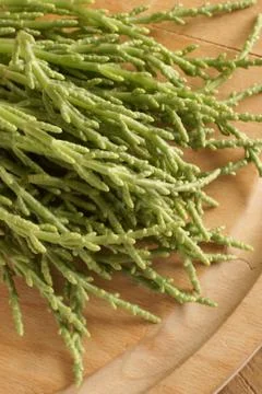 Samphire Stock Photos