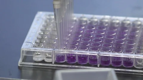 Sample being loaded into well plate for analysis in lab Stock Footage 93524270