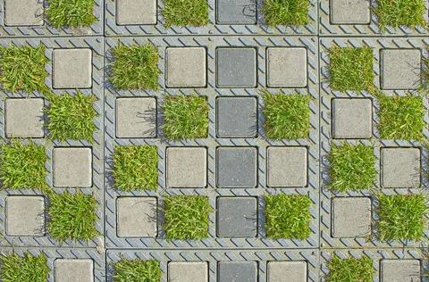 Sample of brick pavement with grass. Foto stock