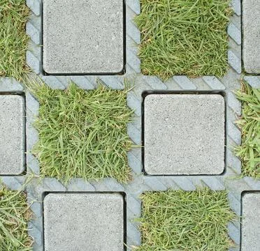 Sample of brick pavement with grass. Foto stock