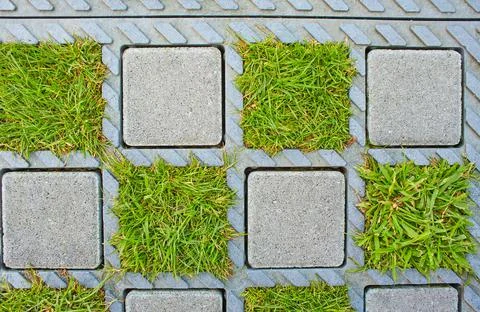Sample of brick pavement with grass. 写真素材
