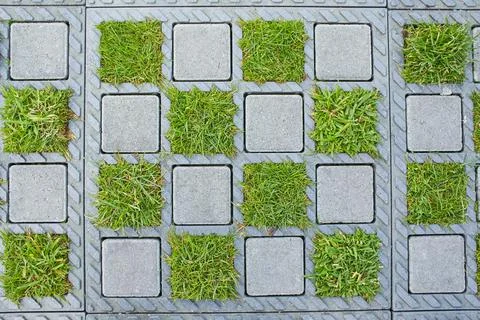 Sample of brick pavement with grass. Stock Photos