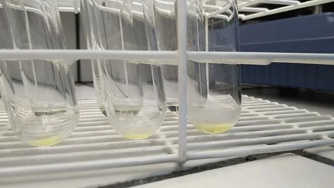 A sample of butter is dried previously a chemical analysis to quantify the fatty Stock Footage 249019986