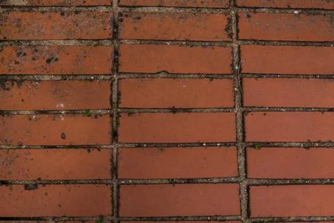 A sample of clay brickwork, a rectangular shape, terracotta color, used when  Stock Photos