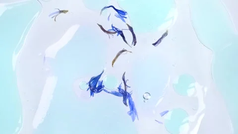 Sample of clear blue and purple oil for cuticles. Hand treatment. Organic v.. Stock Footage 278347646