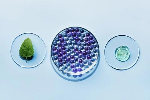 Sample of gel bubbles and green leaf in petri dish on blue background, hard Stock Photos