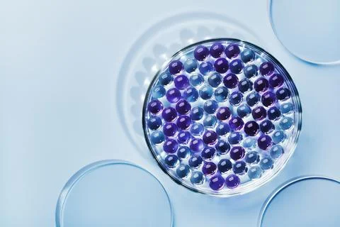 Sample of gel bubbles in petri dish on blue background, hard shadows. Abstract Stock Photos