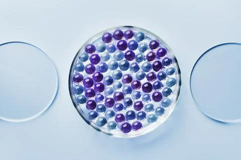 Sample of gel bubbles in petri dish on blue background, hard shadows. Abstract Stock Photos
